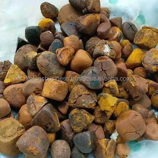 Ox-Cow-Gallstones.jpg