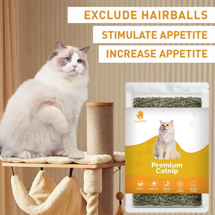 Customized ease anxiety pleasant mood pure natural catnip pet chew cat dust leaf toys