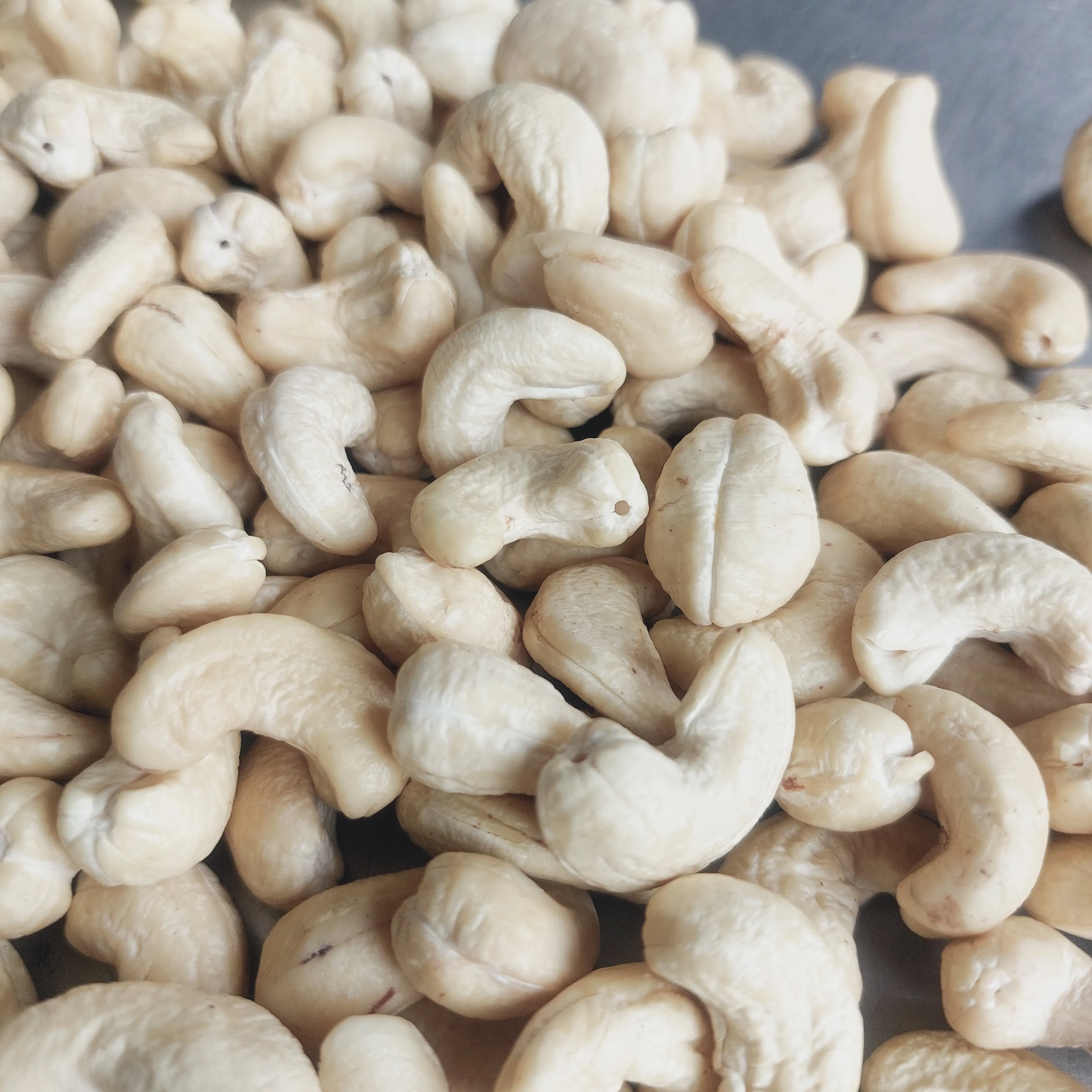 Hot Sale Best Rate Cashew Nuts Cashew Nuts W320 Cashew Nuts 180 Private Label Packaging Available