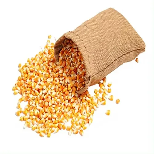 Top Selling Non GMO Maize Corn / Yellow Corn Maize Grade 1&2 Red White Clean Dried Grade Maize for Human & Animal Feed FOR SALE