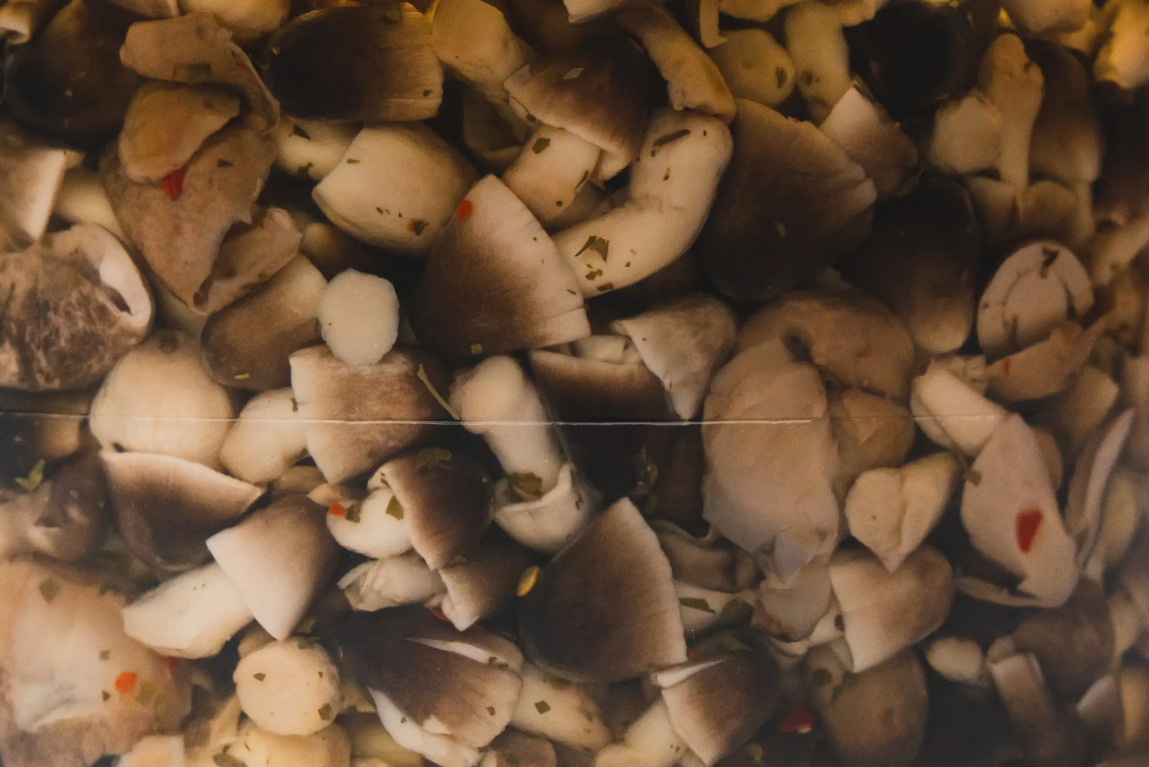 Top Quality 3,5Kg Preserved Whole Moss Mushroom in Sunflower Oil for Rice Pizza Burgher Pasta