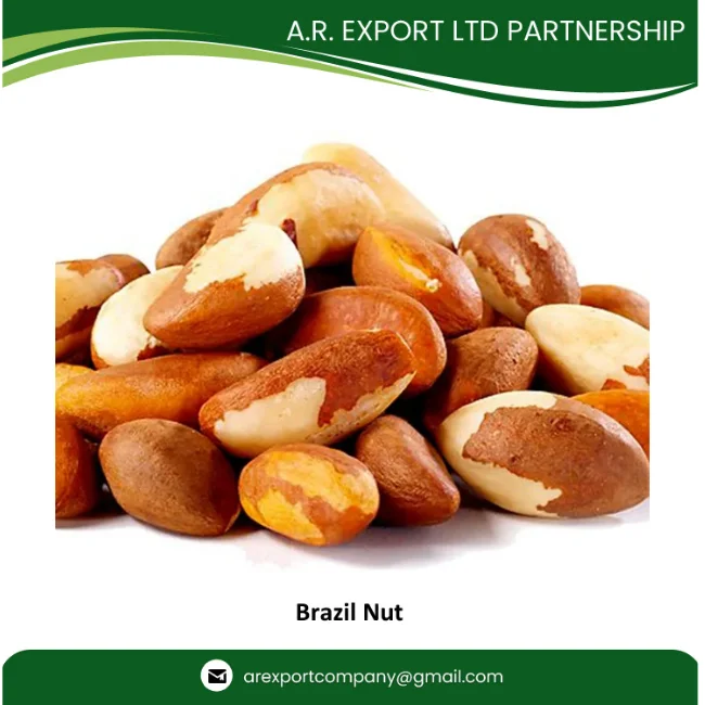 Органический и высококачественный сельскохозяйственный продукт, оптовая продажа шелушеных натуральных бразильских орехов оптом по лучшей цене