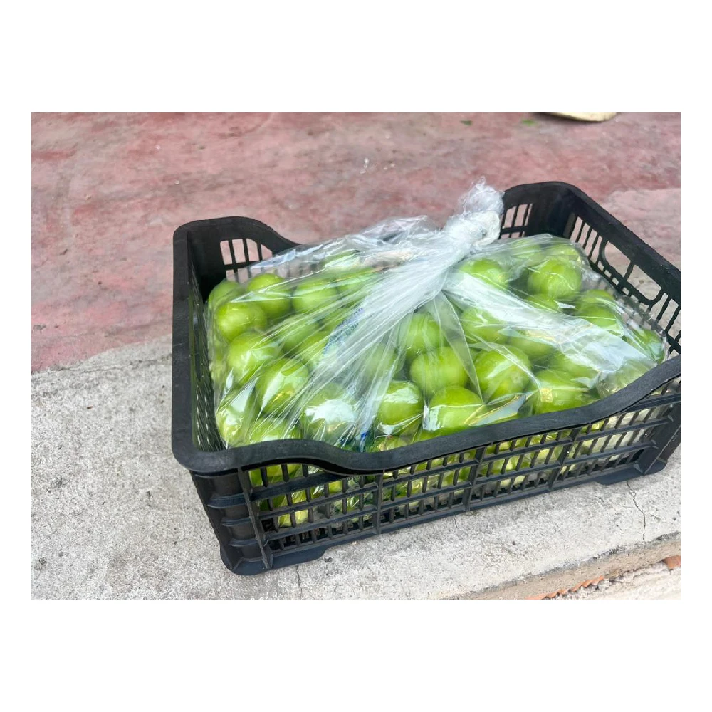 Wholesale Turkey Origin Fresh and Delicious Green Plums Plum Green Plum Fruit Vegetable Food High Quality