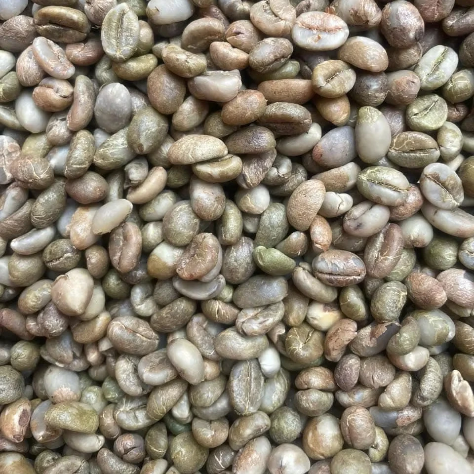 ARABICA/ ROBUSTA COFFEE HIGH STANDARD NEW CROP FOR SALE WITH BEST PRICE