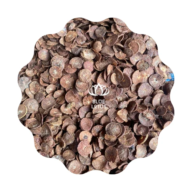 IN BULK PRICE DRIED BETEL NUTS ARECA NUTS BEST GRADE TOP SELECTED FROM BLUE LOTUS FARM