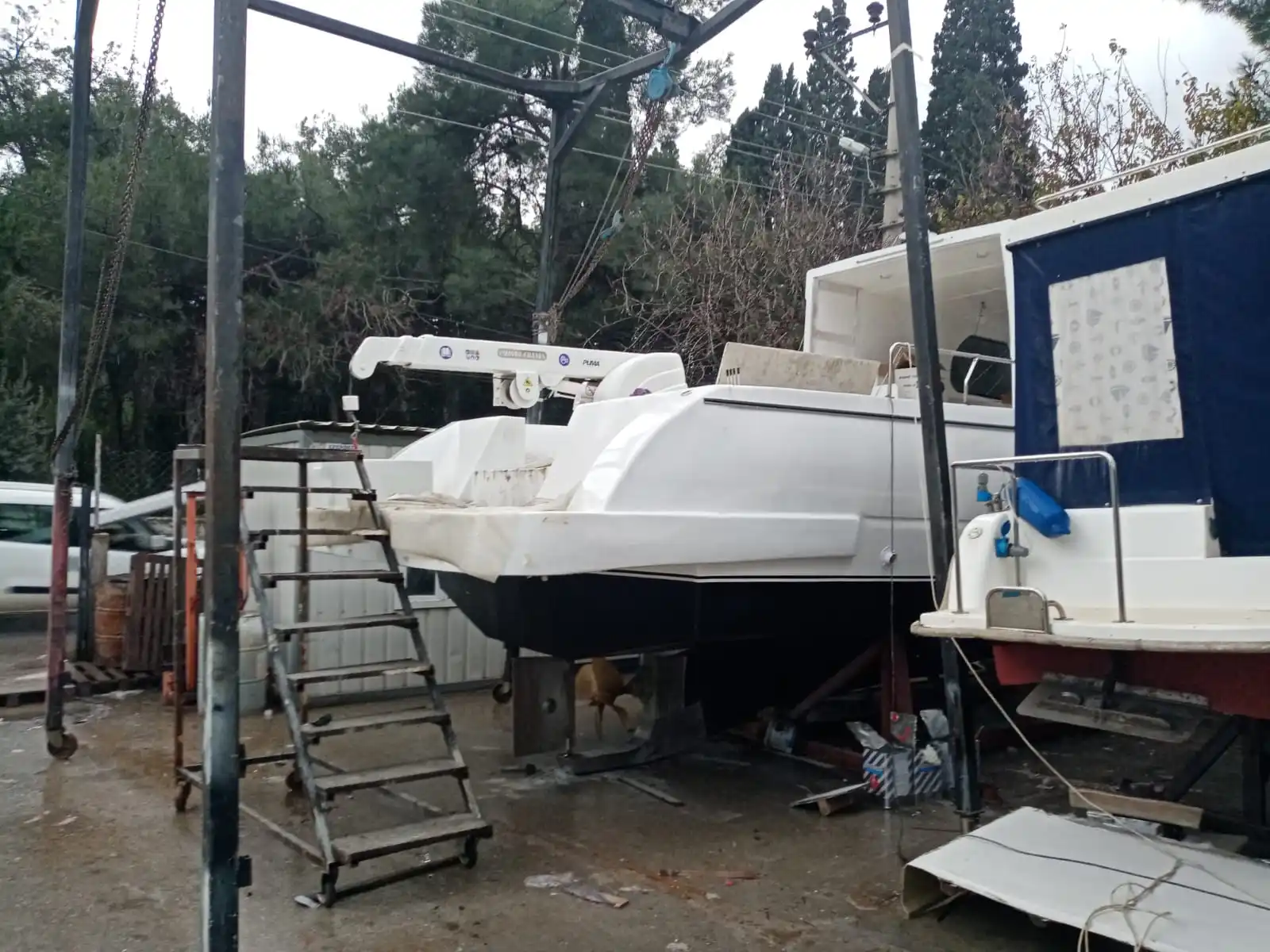 Puma Crane Marine Deck Telescopic Gantry Crane New 4 Ton 100 Ton Rated Electric Loading Capacity Gearbox Hoist Mechanism Farm