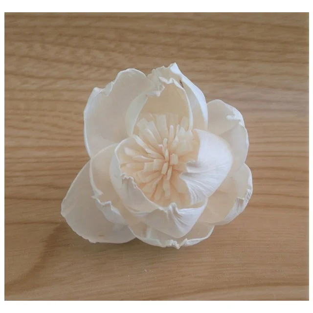 Peony with Pollen Sola Wood Flowers Artificial Dried Wholesale Handicraft Home Decor Decoration Thailand Reed Diffuser