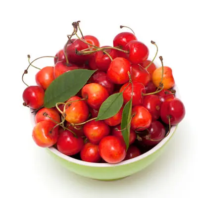 Quality Natural Taste Red Farm Fresh Cherries for sale