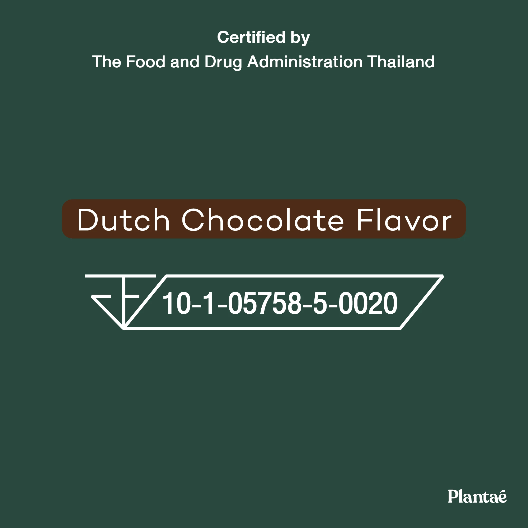 New! Recommended High Quality Complete Plant Protein Box Dutch Chocolate Flavor from Thailand High Protein