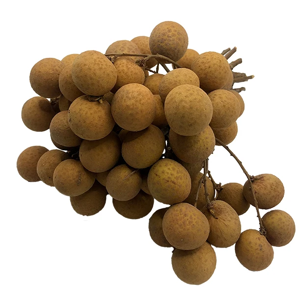 Premium Quality Imported Grade Longan Fruit Temperature measuring Quality Selecting Fresh Longan for Consuming from Thailand