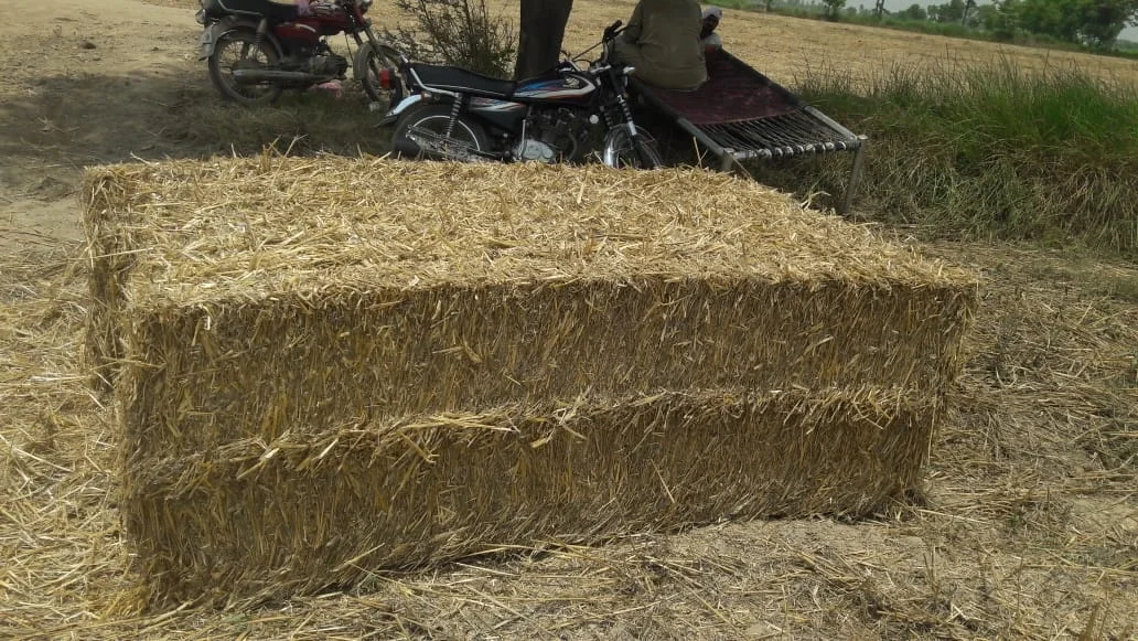 Zero Waste Natural Rice Straw From Pakistan/ High Quality Rice Straw/Animal Feeding Rice Straw Hay Bales for Qatar