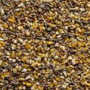 Chicken Feed from France to Export Globally