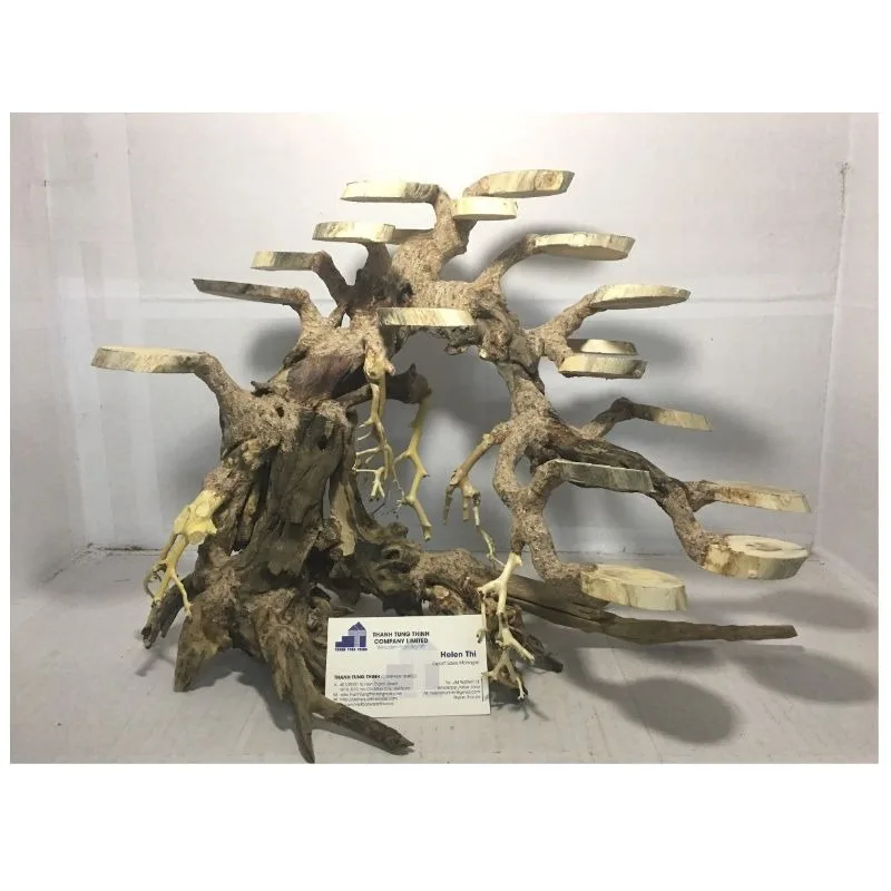 2024 лучшие товары бонсай коряги для украшения аквариума по доступной цене WhatsApp 84 961005832
