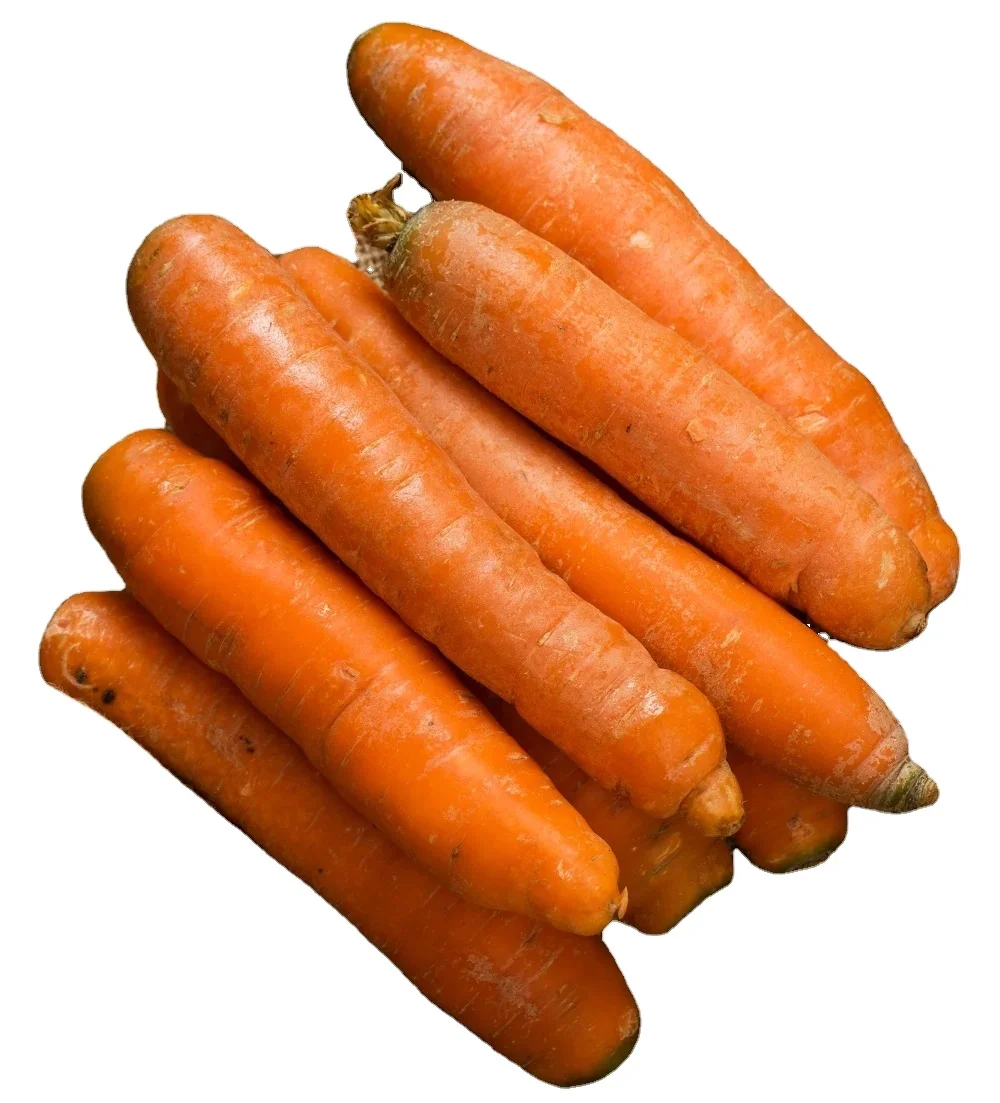 Fresh Carrot Vietnam New season vegetable Hot sale Fresh Carrot 150-200g / wholesale price Wholesale Vlux Vietnam Factory