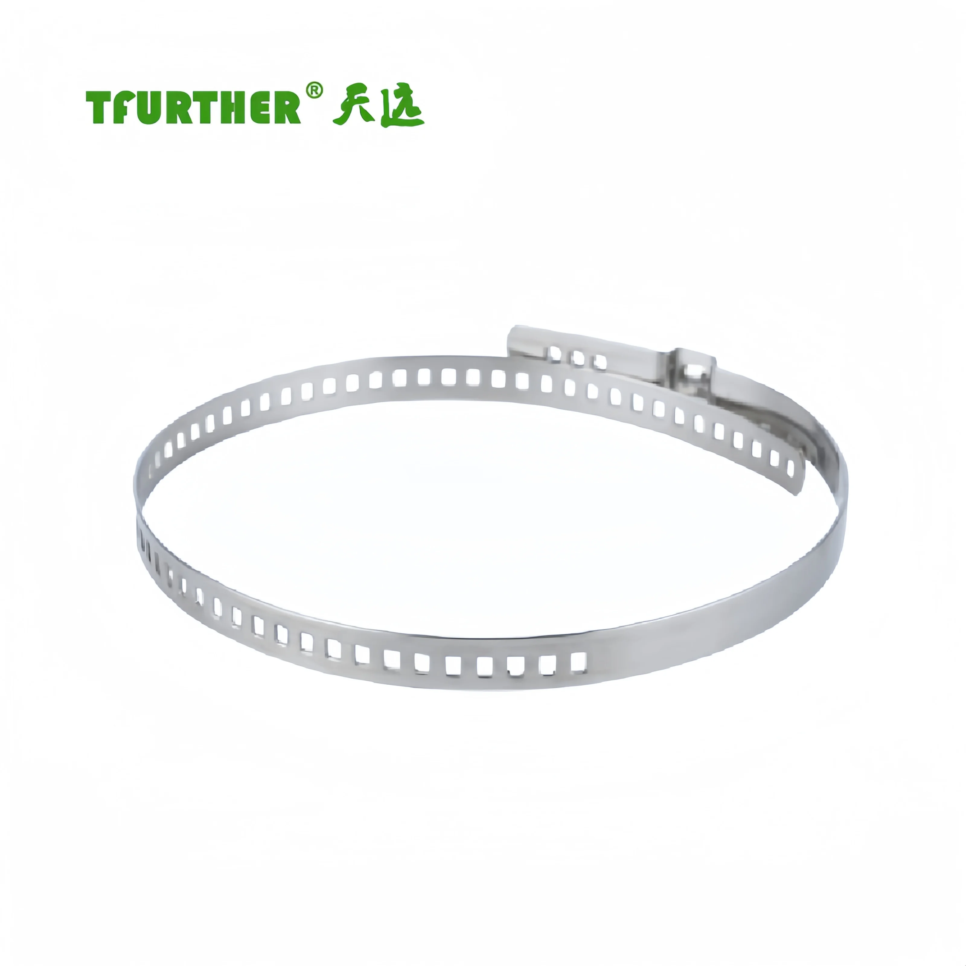 Oetiker Type Hose Clamps Pex Clamp SS304 Oetike Adjustable Single Ear Hose Clamp for Pex Tube