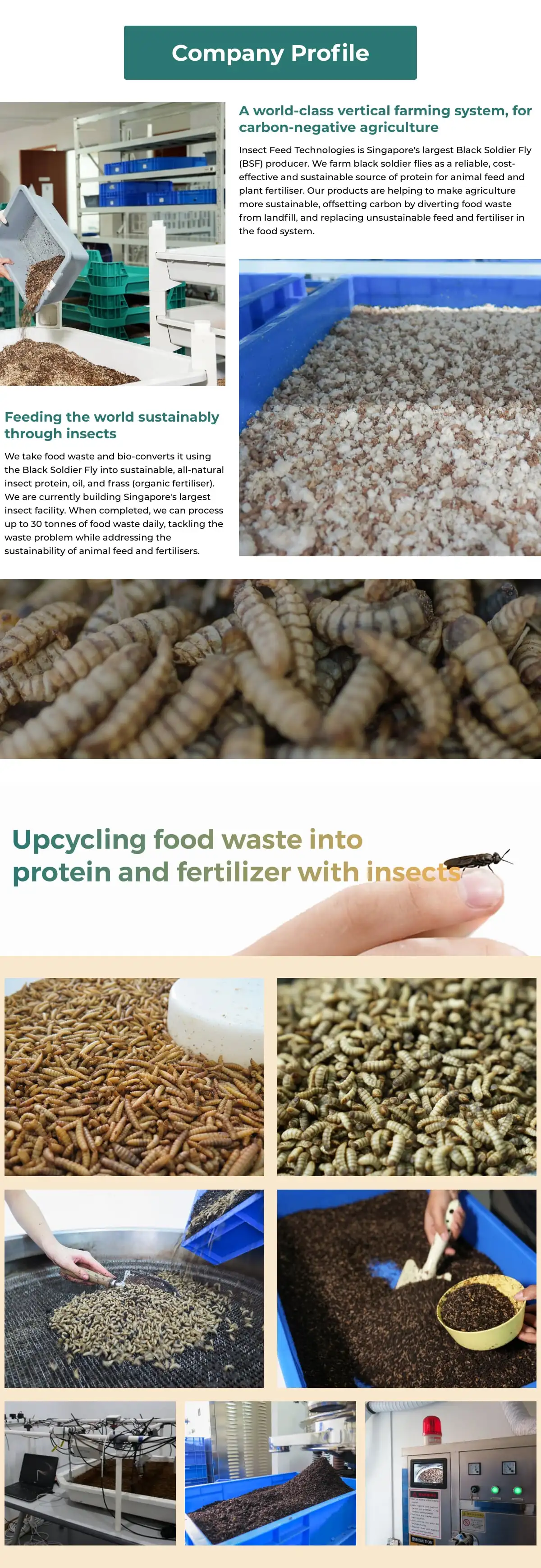 Animal Food Supplement Black Soldier Fly Insect Meal (Milled Larvae) 2kg with Different Sizes Available