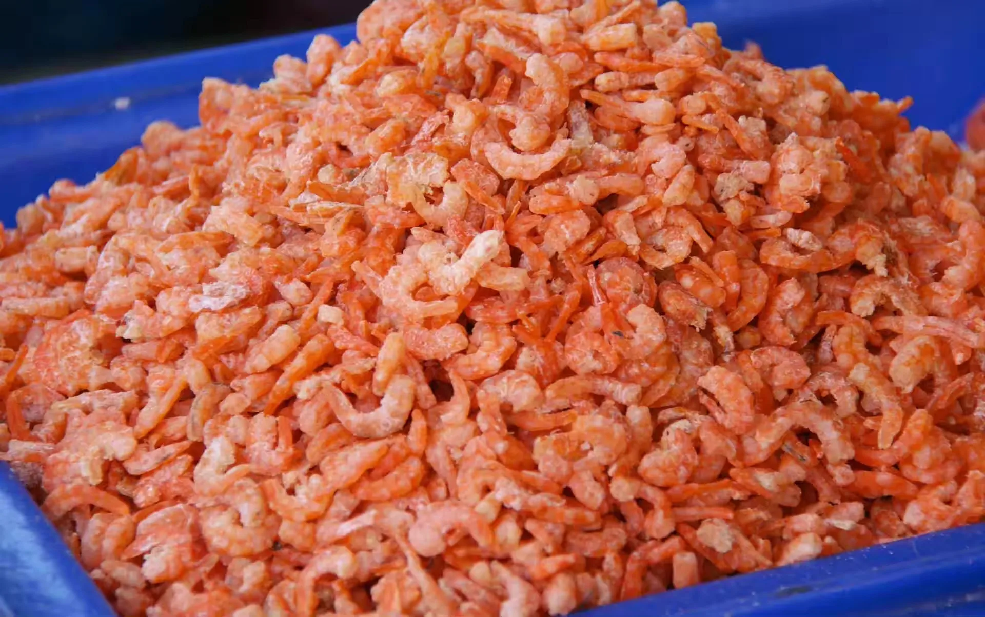 CHEAP CHEAP PRICE FROM OUR FACTORY DRIED SHRIMP FOR WHOLESALE NEEDED