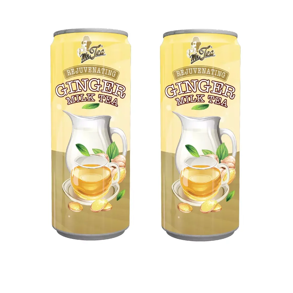 Ginger OEM Warm Body Bulk Can Blended Tea Drinks Energize Breakfast Instant MR TEA Milk Tea 240ml x 24c