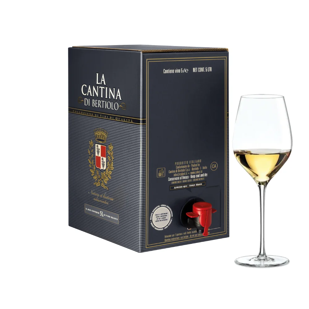 Pinot Bianco 5 литров белого вина в упаковке Сделано Италии долговечный легкий использовании для молодежи