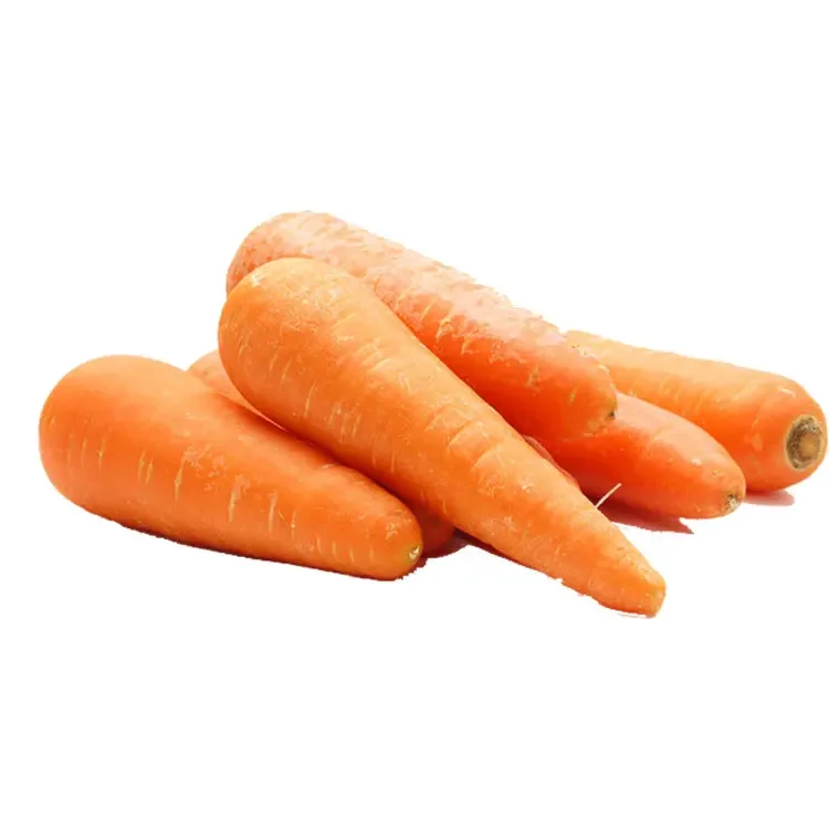 Свежая Морковь из овощей свежая морковь семена для оптовой экспорта/цветная упаковка (1600915207712)
