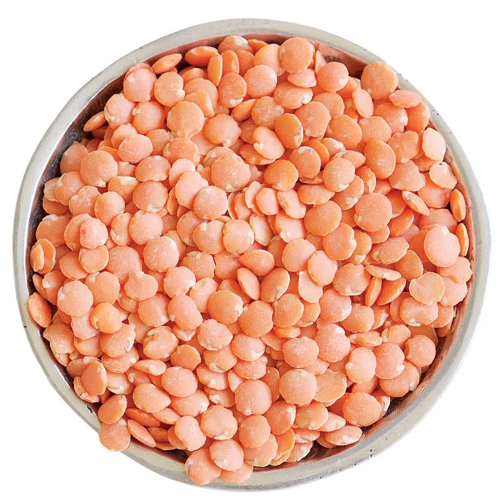 Wholesale Premium Quality Crimson Lentilles / Green Lentils Price / Red Lentils