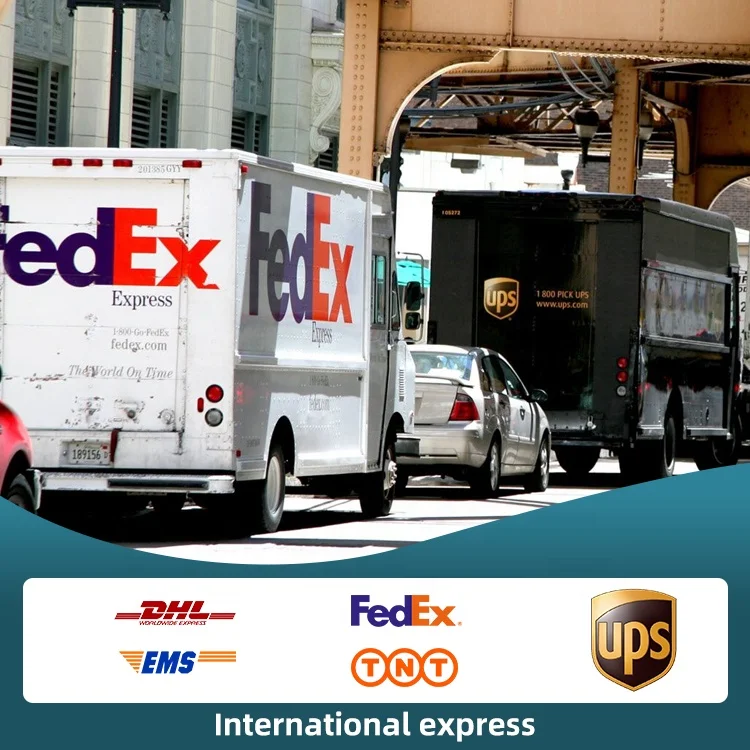 From China To USA UK Canada Europe Singapore Malaysia Dhl tnt ups fedex Express Freight