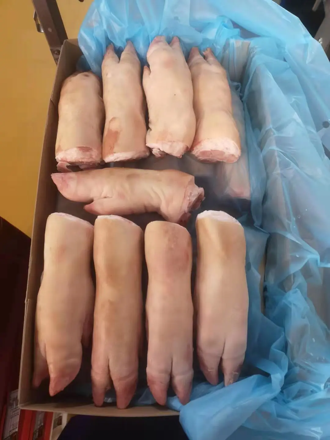 Wholesale Frozen Pork Front Feet Pig Feet For Sale