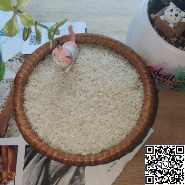 Egyptian Medium Grain Rice 5% broken (Ms Quincy WA: 84 858080598)