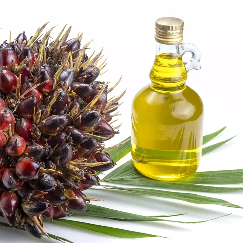 Refined Palm Oil (Olein) (edible) (product from Thailand) (OEM) (premium quality) (choosable packaging types and sizes)