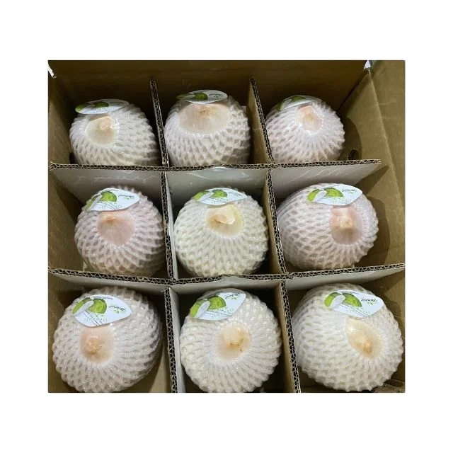 Low Price Young Coconut Pulp and Shell Part Hat Cut Shape Coconut Fresh Young Coconut Without Top Cover Exporter from Vietnam