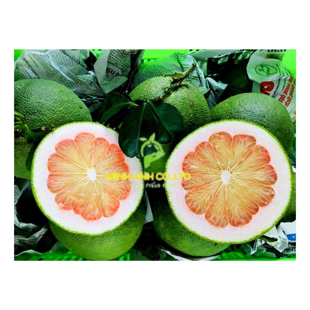 New product 2023 Fresh Sweet Red Globe Grapes Vietnam Premium Style Storage Food Organic Package Weight Origin Type Quality Size