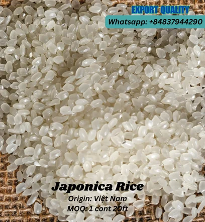 The good White Rice JAPONICA RICE has been Produced Company in Vietnam High-quality Product Usage Domestic Market