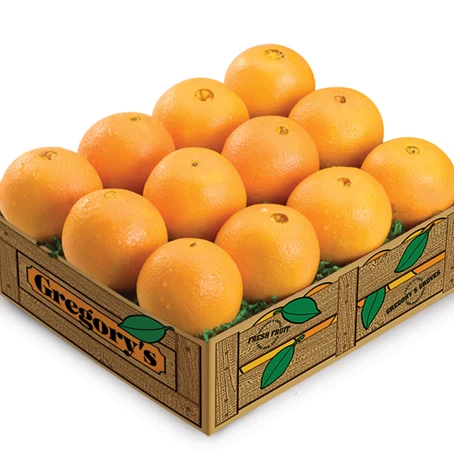 Fresh Navel Orange and Valencia orange from Egypt at wholesale Price