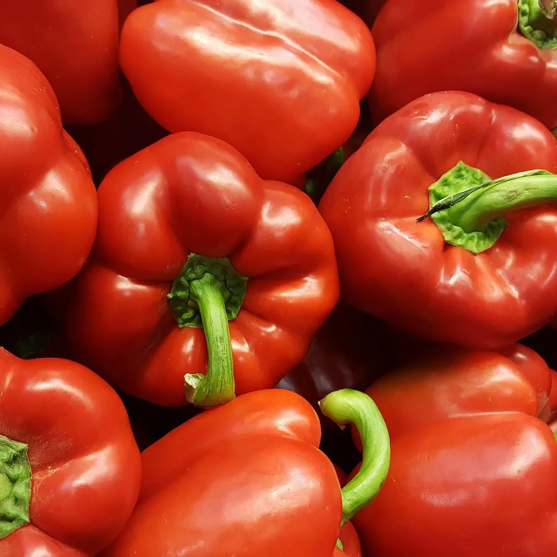 Best Quality Made in Italy Sicilian Caponata jar 170g ready to eat