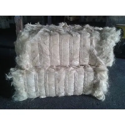 100% Sisal Natural Fiber/ Natural Sisal Fiber for Rope , for Sisal  products
