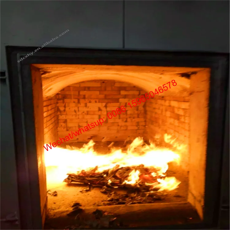 Gas  medical waste incinerator price factory