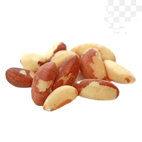 Highly in Demand Top Quality Best Price Fresh Crop Best Protein and Essential Amino Acids Brazil Nuts for Sale