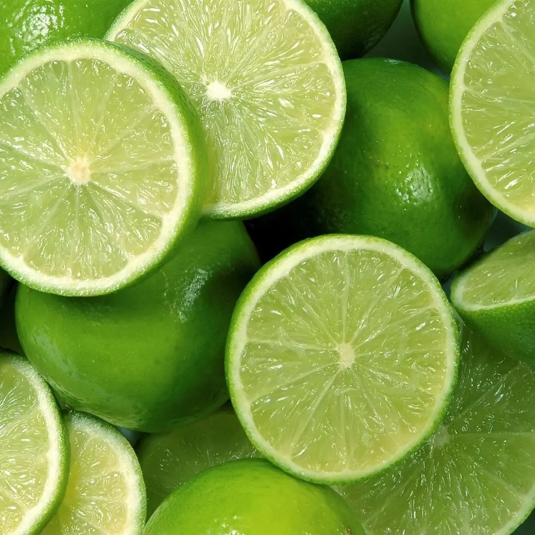 Seedless Lime Fresh Citrus Fruit High Quality Brand Manufacturer Wholesaler Hot Selling From South Aafrica Cheap Price Low MOQ