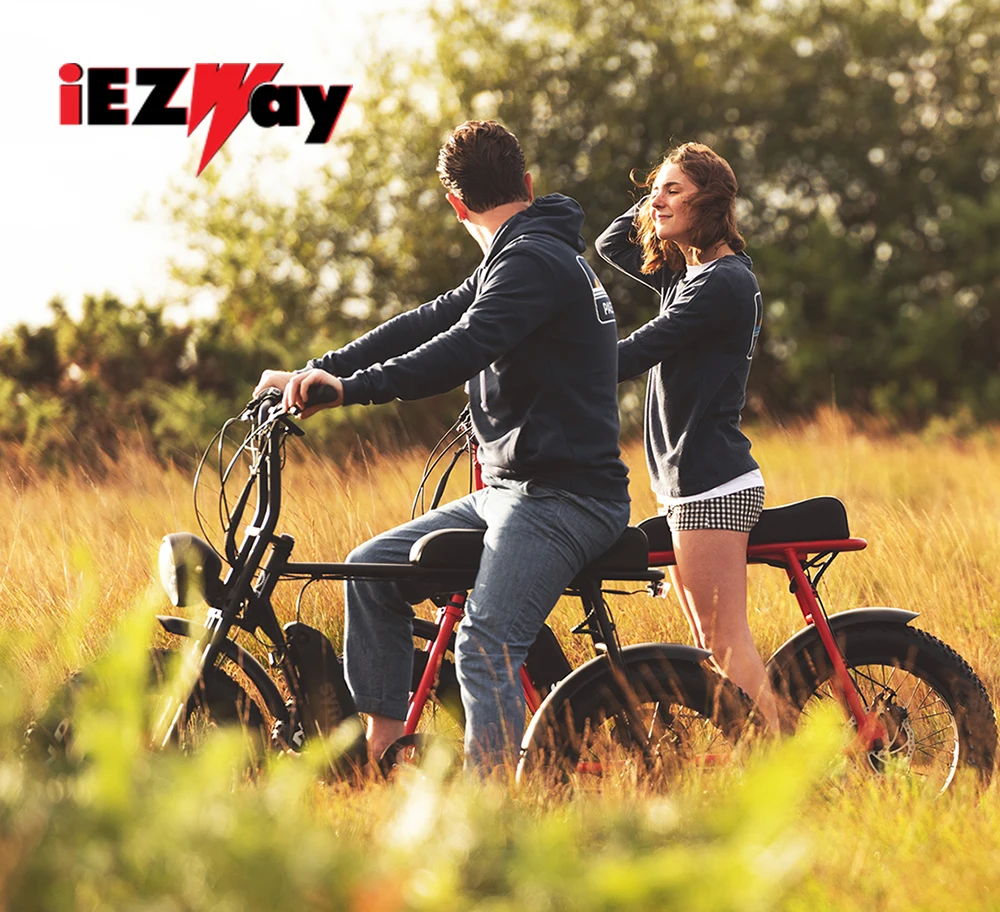 EZ V8 Electric bike9