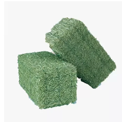 Cheap Top Quality Alfalfa Hay for Animal Feeding Stuff Alfalfa ,hay/Timothy hay discount price