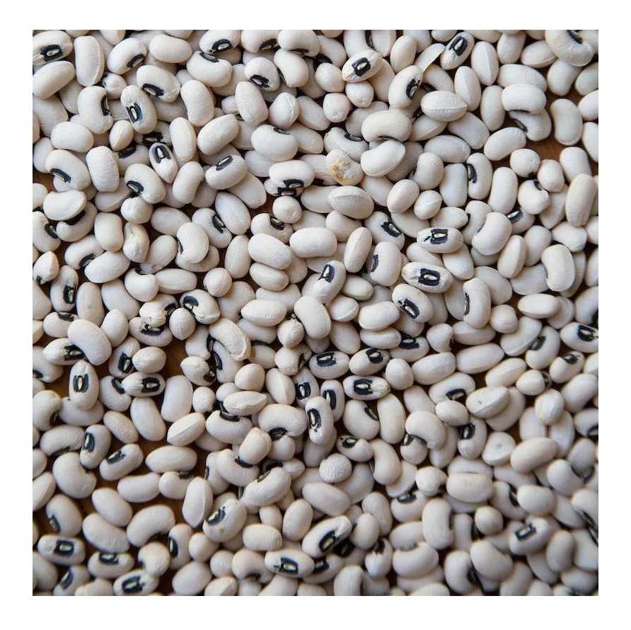 Cheap Price Supplier From Germany Ukrainian Black Eye Beans / White Cowpea Bean / Vigna beans At Wholesale Price With Fast Shipp