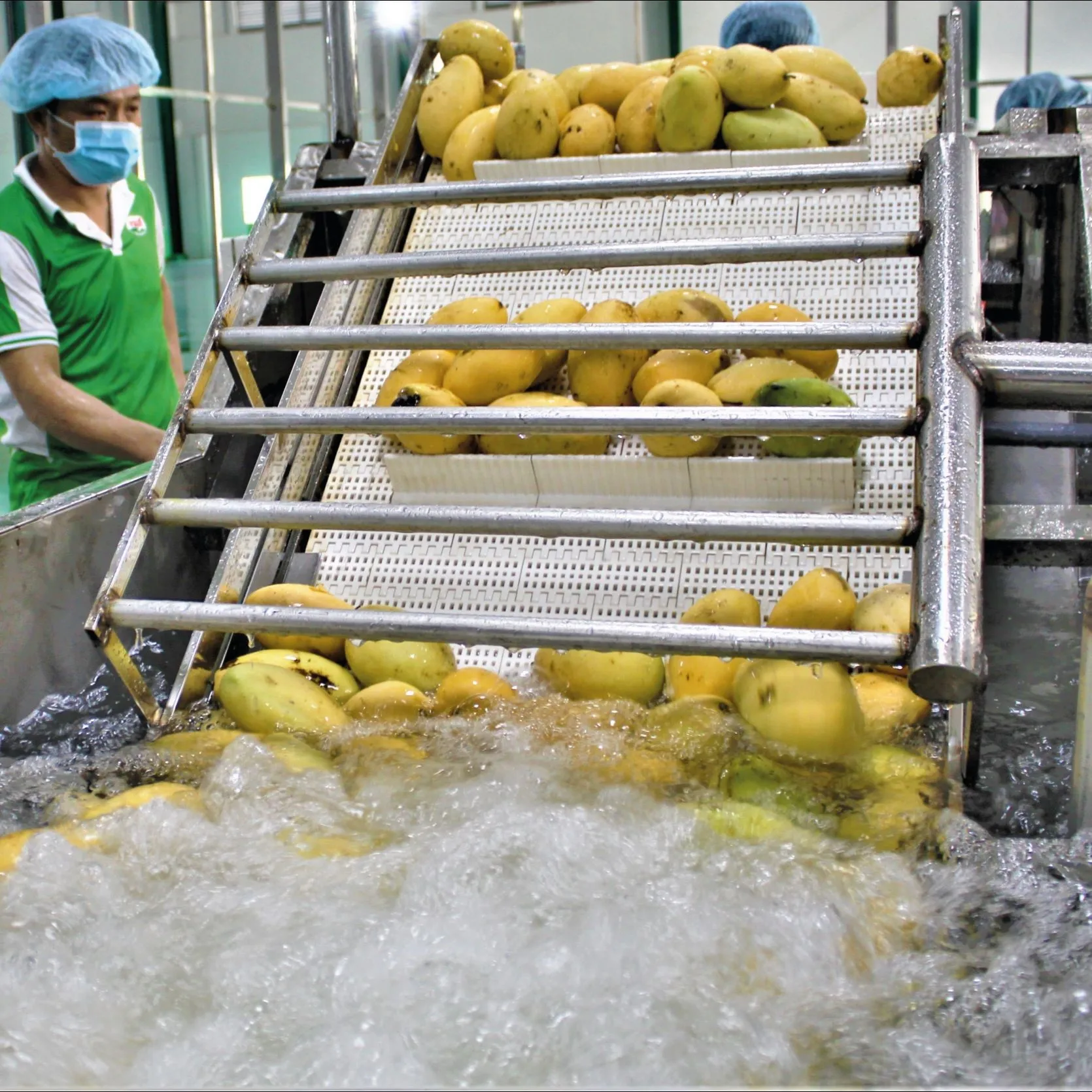 Vietnam 100% Mango Juice Drinks Mixed Fruit Juice Canned 330ml Premium Quality HALAL Beverage Factory Price