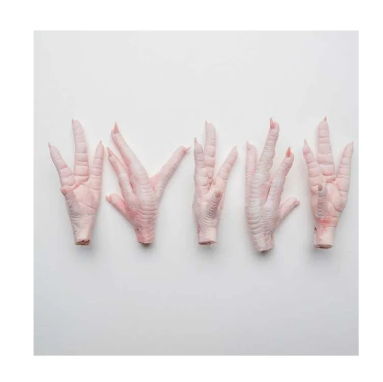 Frozen Chicken Paws at Wholesale Price - Direct from Factory