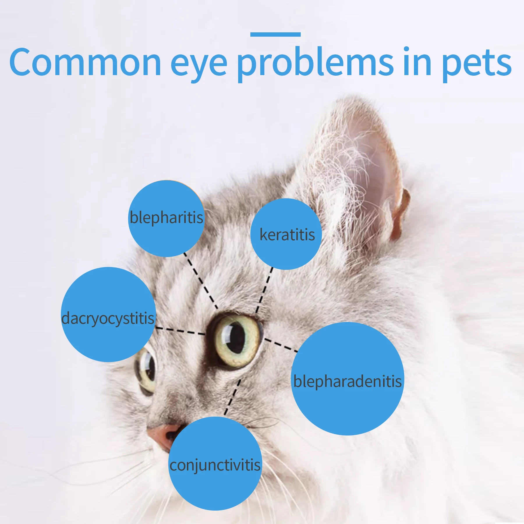 Private Label Lucky Paws Pets Lucky Paws TEAR STAIN REMOVER( For Dogs & Cats) pets eye drop anti-bacterial pet eye drops