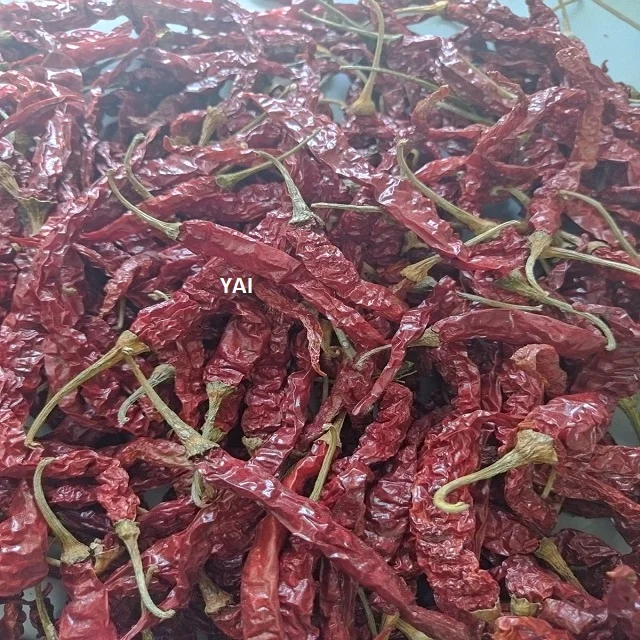 100% Natural and Standard Spicy Red Syngenta Chilli Export to Somalia / Sudan /  Kenya from India