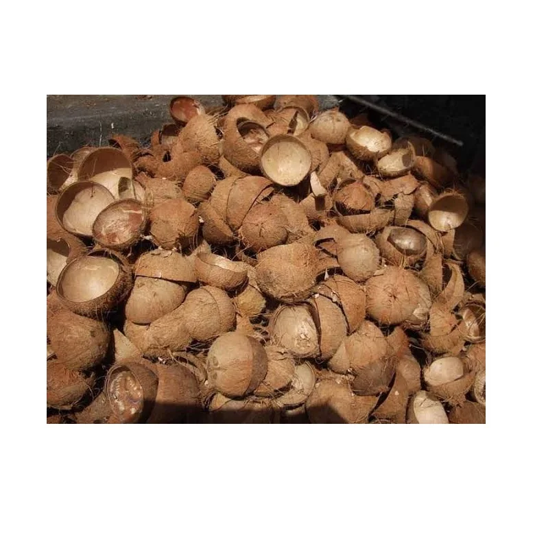 Natural Material Agricultural Waste Charcoal Coconut Shell Wholesale  Palm Kernel Shell Cheap Prices From Indonesia
