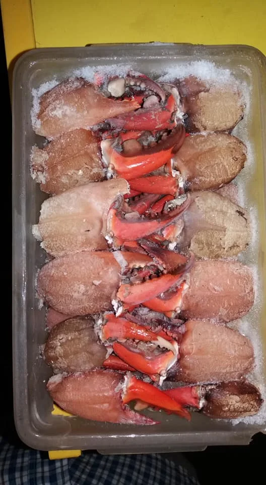 Buy Top Quality Mud Crab Frozen Mud Crab from us you get various nutrients and it is very tasty to eat