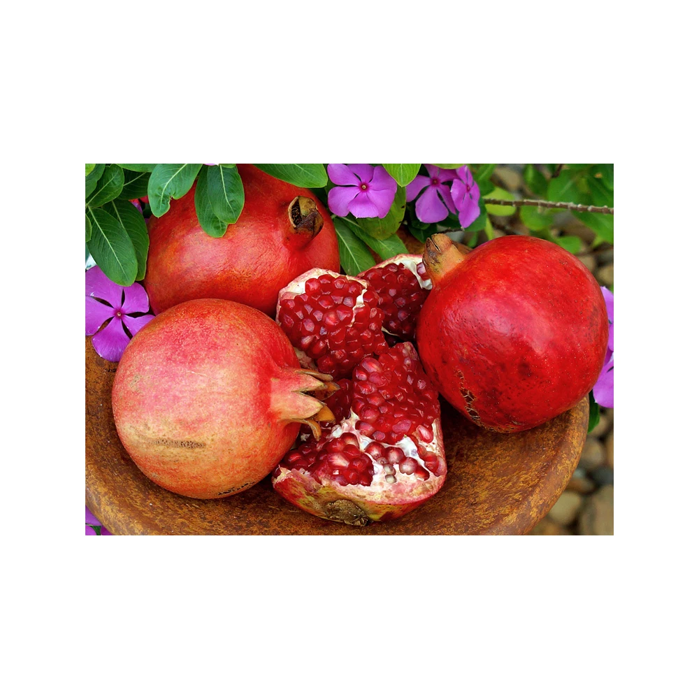Indian Bulk Supplier  Fresh Pomegranate Fruits At Wholesale Price