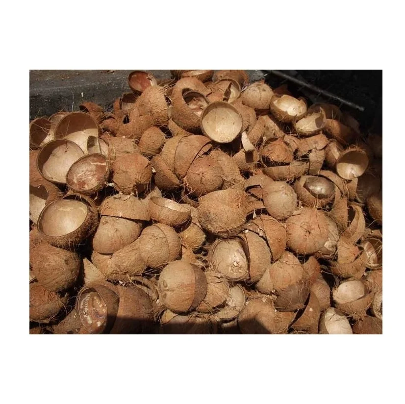 Premium Quality of Indian standard RAW COCONUT SHELL handicraft applies and other applications available at competitive prices.