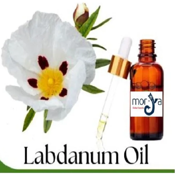 Премиум натуральный экстракт эфирного масла Labdanum низкая цена доступная из Индии
